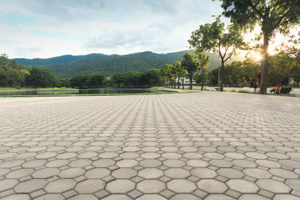 Best Residential Paver Driveway  in Allouez, WI